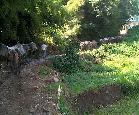 佛山马帮运输队