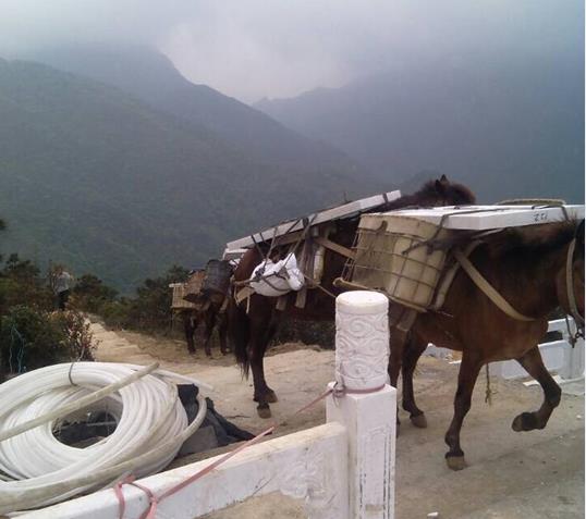 佛山山区马帮运输