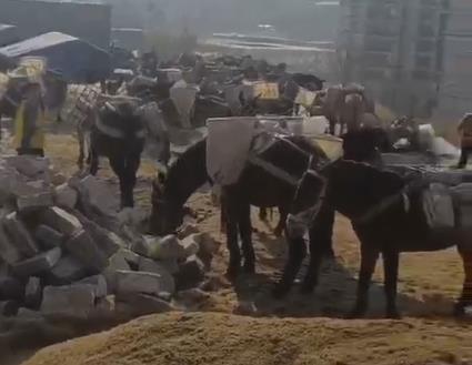佛山马队山路运输