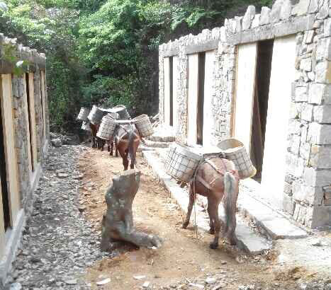 佛山马队运输队