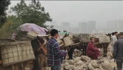 佛山骡马山区运输