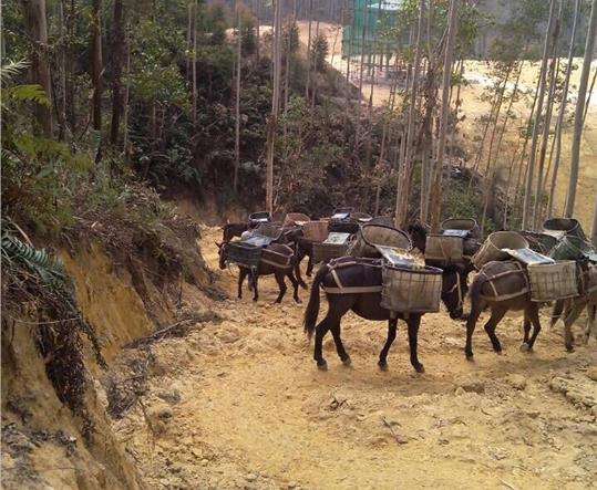 佛山马帮山路运输